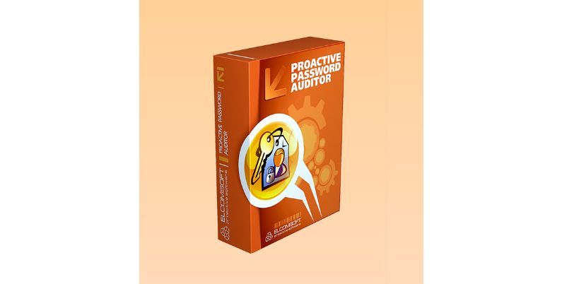 Proactive Password Auditor Proactive Password Auditor