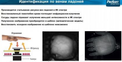 Идентификация по венам ладоней. Биометрические системы
