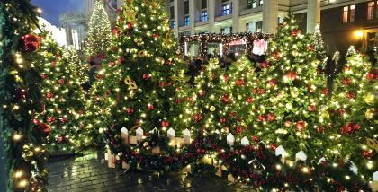 Москва Новогодняя - Сказочный лес около здания Four Seasons Hotel
