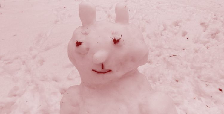Лаборатория Касперского. В следующие три года российские компании планируют увеличить бюджет на кибербезопасность на 14%