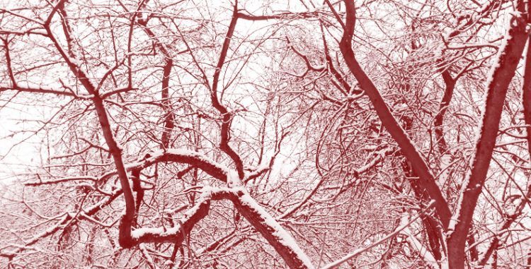 Прозрачность кода, кибериммунитет и социальные инвестиции: «Лаборатория Касперского» выпустила свой первый отчёт об устойчивом развитии (ESG)
