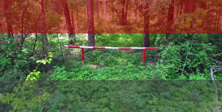 Новый формат вирусных баз в разы ускорит старт антивируса и оптимизирует потребление памяти