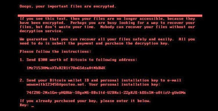ESET: Petya требует выкуп.