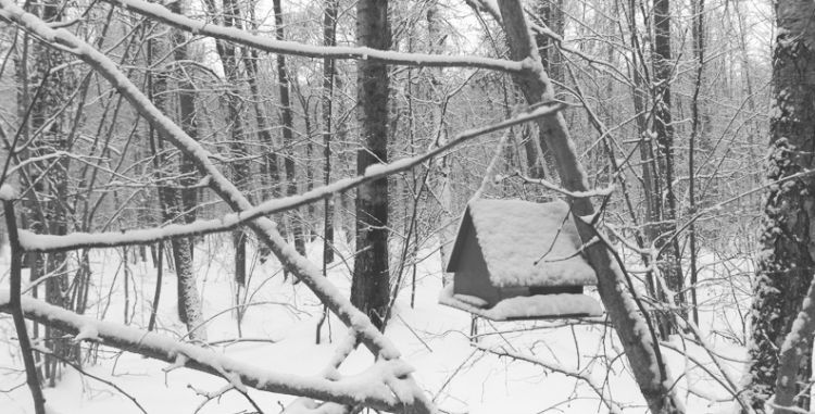 «Лаборатория Касперского». Не всё легитимное одинаково полезно: злоумышленники начали вставлять фишинговые ссылки в уведомления SharePoint