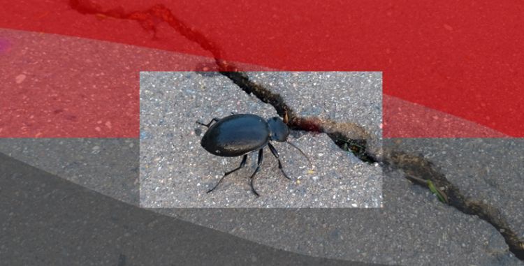 Ленинградская область и МойОфис подписали соглашение о сотрудничестве в сфере ИТ