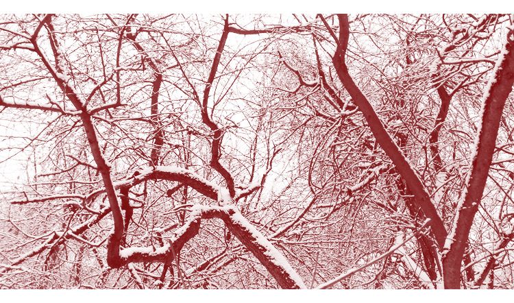 Прозрачность кода, кибериммунитет и социальные инвестиции: «Лаборатория Касперского» выпустила свой первый отчёт об устойчивом развитии (ESG)