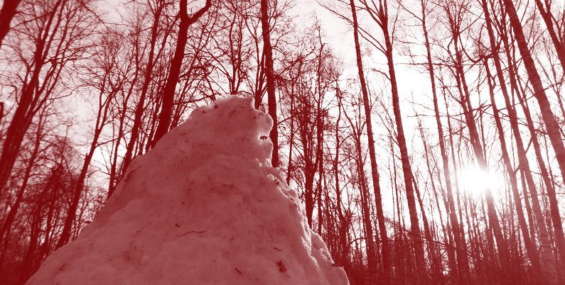 «Доктор Веб» продолжает работать над совершенствованием решения для защиты от APT-атак