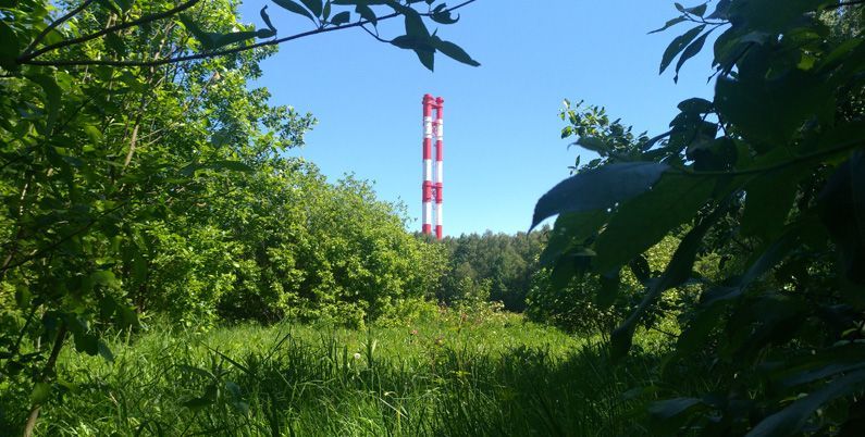 Новая версия DLP-комплекса Кибер Протего — большой шаг в сторону поддержки отечественных систем