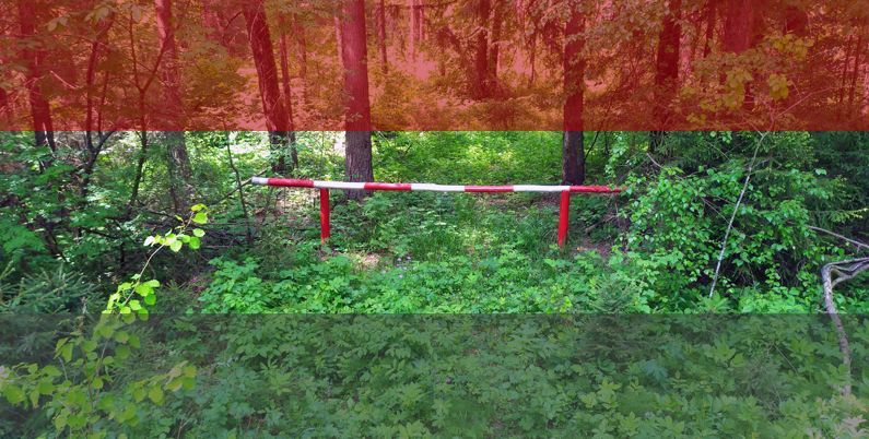 Новый формат вирусных баз в разы ускорит старт антивируса и оптимизирует потребление памяти
