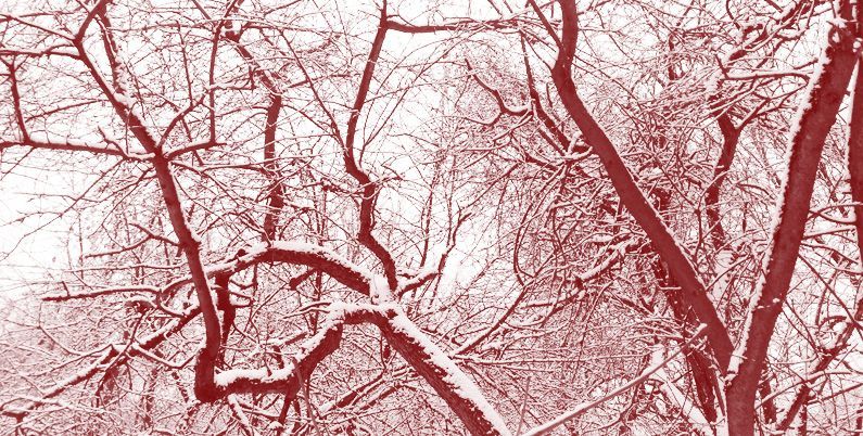 Прозрачность кода, кибериммунитет и социальные инвестиции: «Лаборатория Касперского» выпустила свой первый отчёт об устойчивом развитии (ESG)
