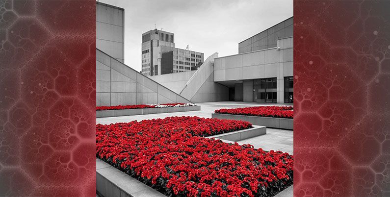 Компания Content AI модернизирует свою IDP-платформу ContentCapture, делая упор на прозрачность рабочих процессов и защиту информации