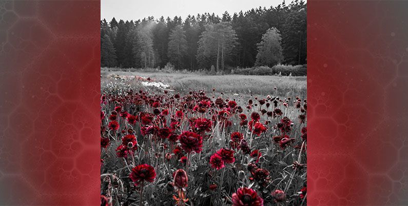 Content AI и ЕСМ-Консалтинг интегрировали свои технологии