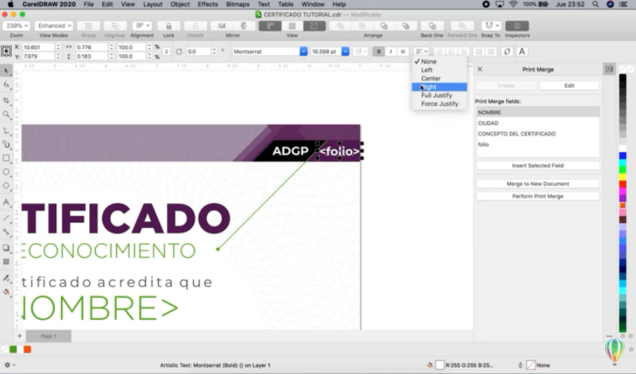 Создание сертификата с помощью слияния печати в CorelDRAW | Mac. Узнайте, как создать сертификат и автоматизировать ввод имен, дат и местоположений с помощью инструмента слияния печати CorelDRAW, чтобы создать множество вариантов и сэкономить время. Corel, Купить CorelDRAW Graphics Suite, Купить САПР CorelCAD, Купить Corel Painter, Купить Corel Pinnacle Studio, Купить CorelDRAW Standard