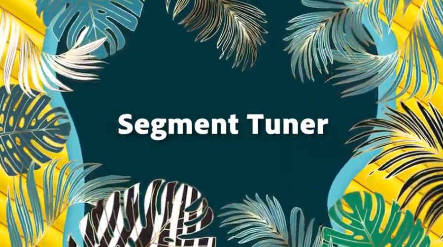 #SegmentTuner| Adobe Summit Sneaks 2021. Проект #SegmentTuner гарантирует, что бренды создают высококачественную аудиторию, которая повышает производительность, применяя Adobe Sensei для улучшения сегментов. Для клиентов это означает контент и опыт, которые являются персонализированными и релевантными.