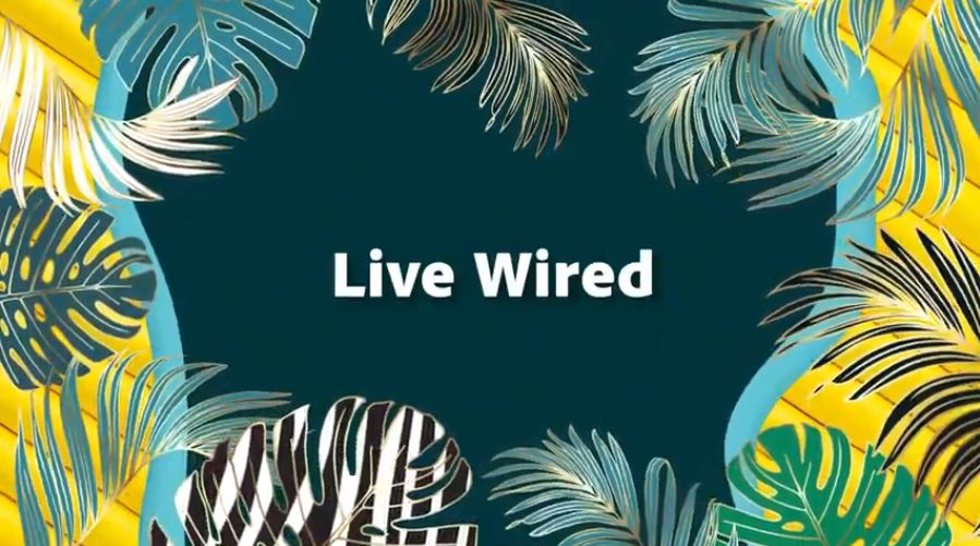 #ProjectLiveWired | Adobe Summit 2021. Проект Firefly дает разработчикам возможность внедрять инновации с помощью облачных API Adobe Experience. Объединив Firefly с мощью Adobe XD, родился #ProjectLiveWired: простой процесс слияния инженерных и UX-рабочих процессов для вашего следующего замечательного приложения. 